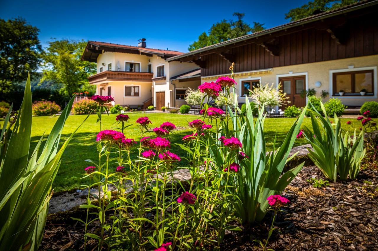 Ferienwohnung Wallmerhof Am Laendlichen Wimberg 아드네트 외부 사진